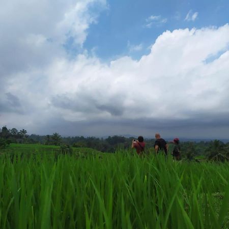 Tegal Jero Homestay Jatiluwih Ngoại thất bức ảnh