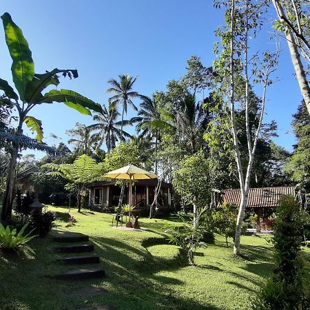 Tegal Jero Homestay Jatiluwih Ngoại thất bức ảnh