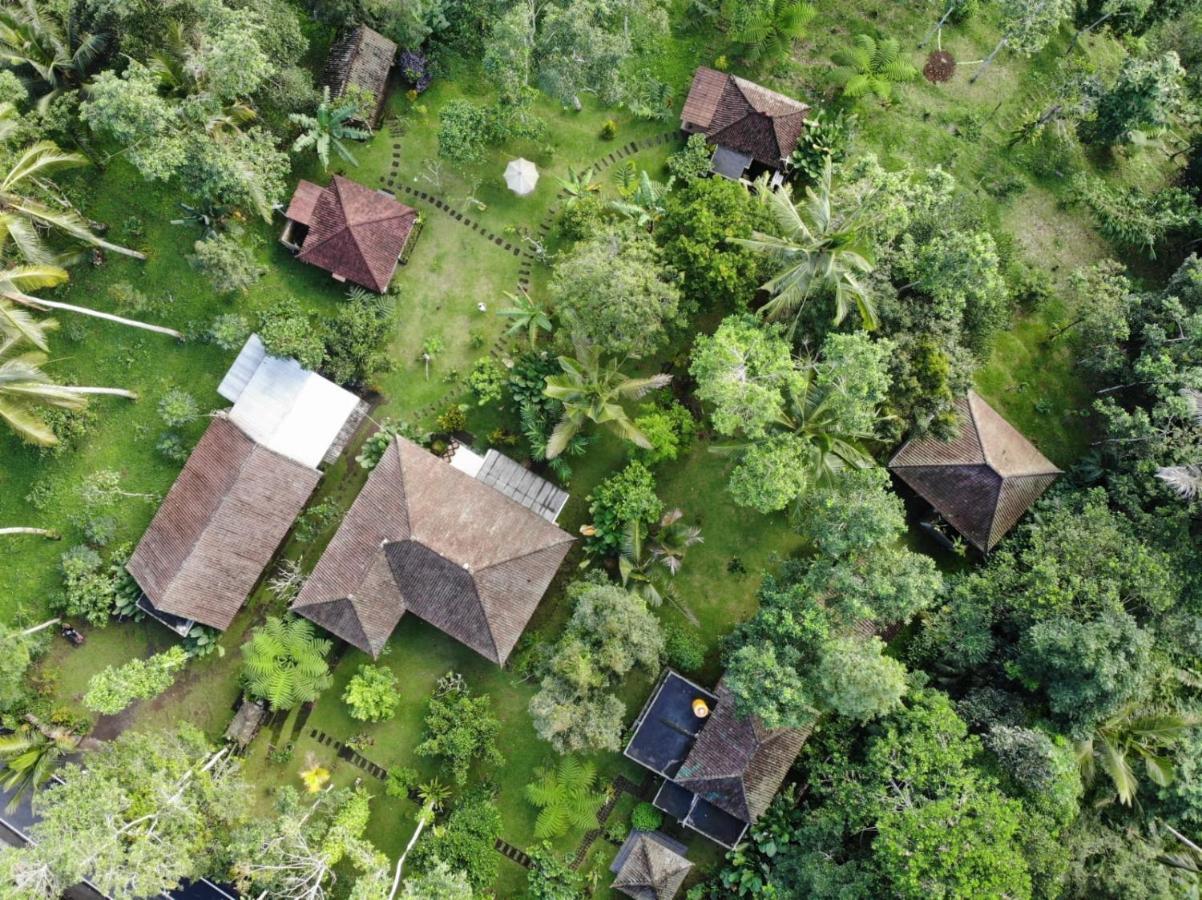 Tegal Jero Homestay Jatiluwih Ngoại thất bức ảnh
