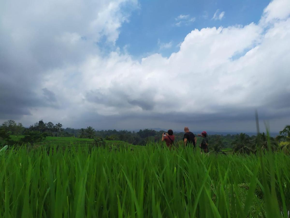 Tegal Jero Homestay Jatiluwih Ngoại thất bức ảnh