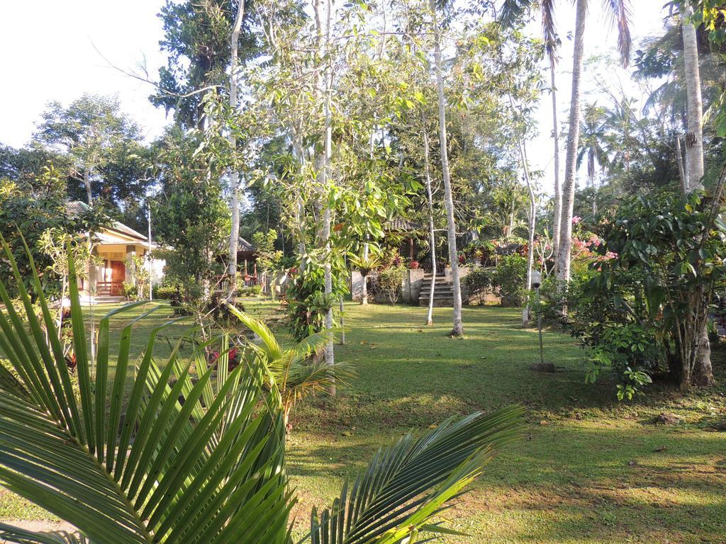 Tegal Jero Homestay Jatiluwih Ngoại thất bức ảnh