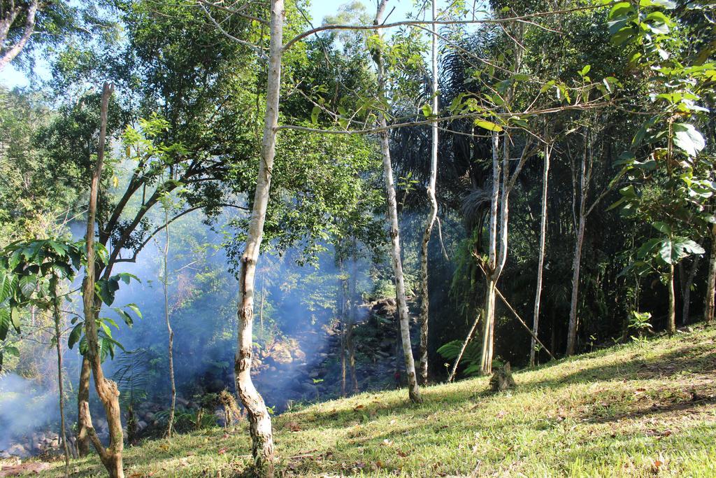 Tegal Jero Homestay Jatiluwih Ngoại thất bức ảnh
