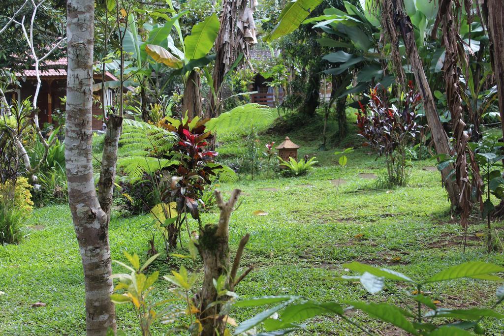 Tegal Jero Homestay Jatiluwih Ngoại thất bức ảnh