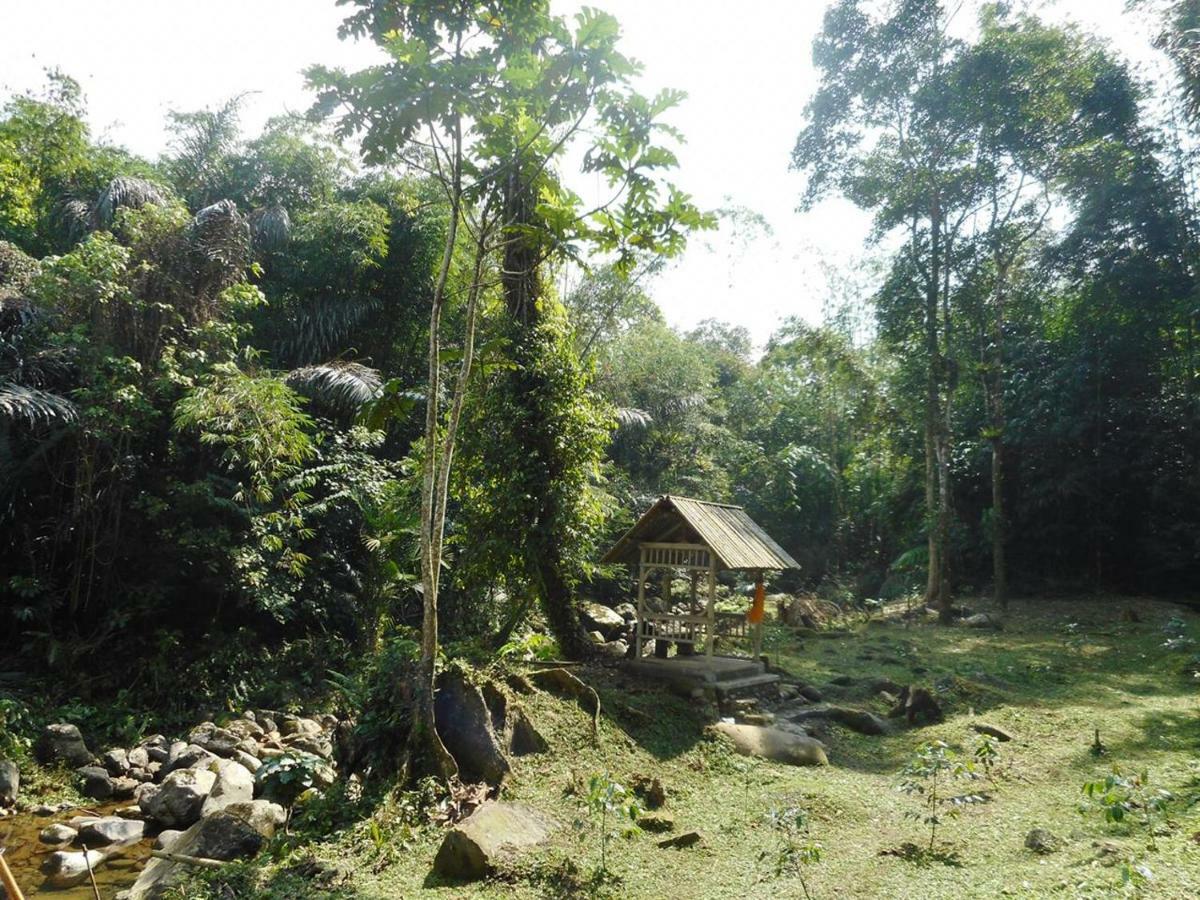 Tegal Jero Homestay Jatiluwih Ngoại thất bức ảnh