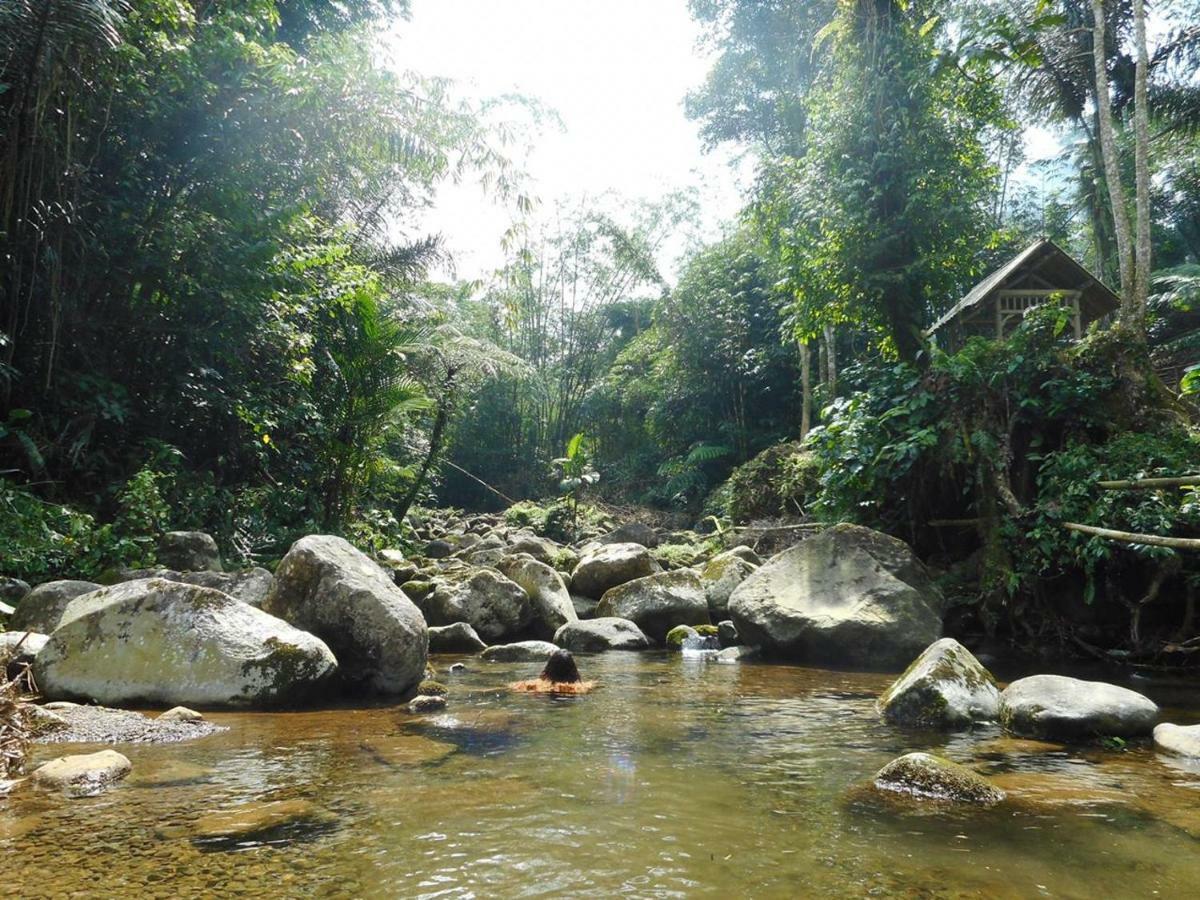 Tegal Jero Homestay Jatiluwih Ngoại thất bức ảnh