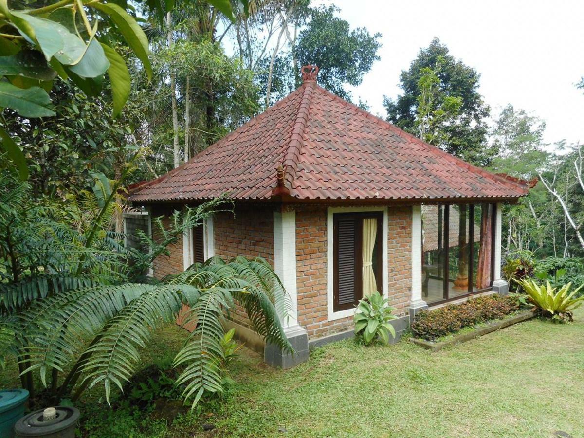 Tegal Jero Homestay Jatiluwih Ngoại thất bức ảnh