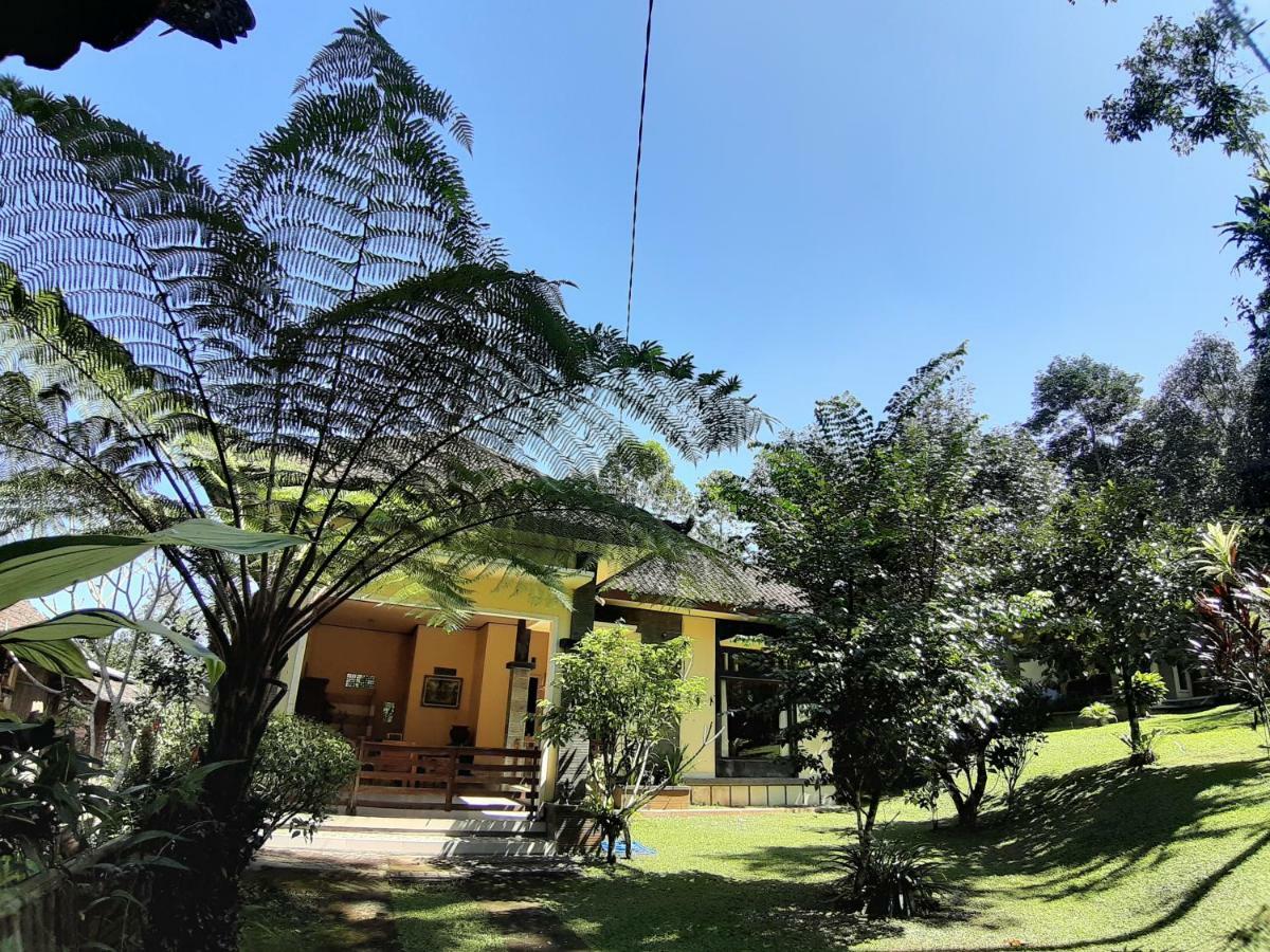 Tegal Jero Homestay Jatiluwih Ngoại thất bức ảnh