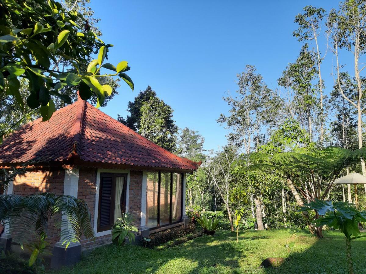 Tegal Jero Homestay Jatiluwih Ngoại thất bức ảnh