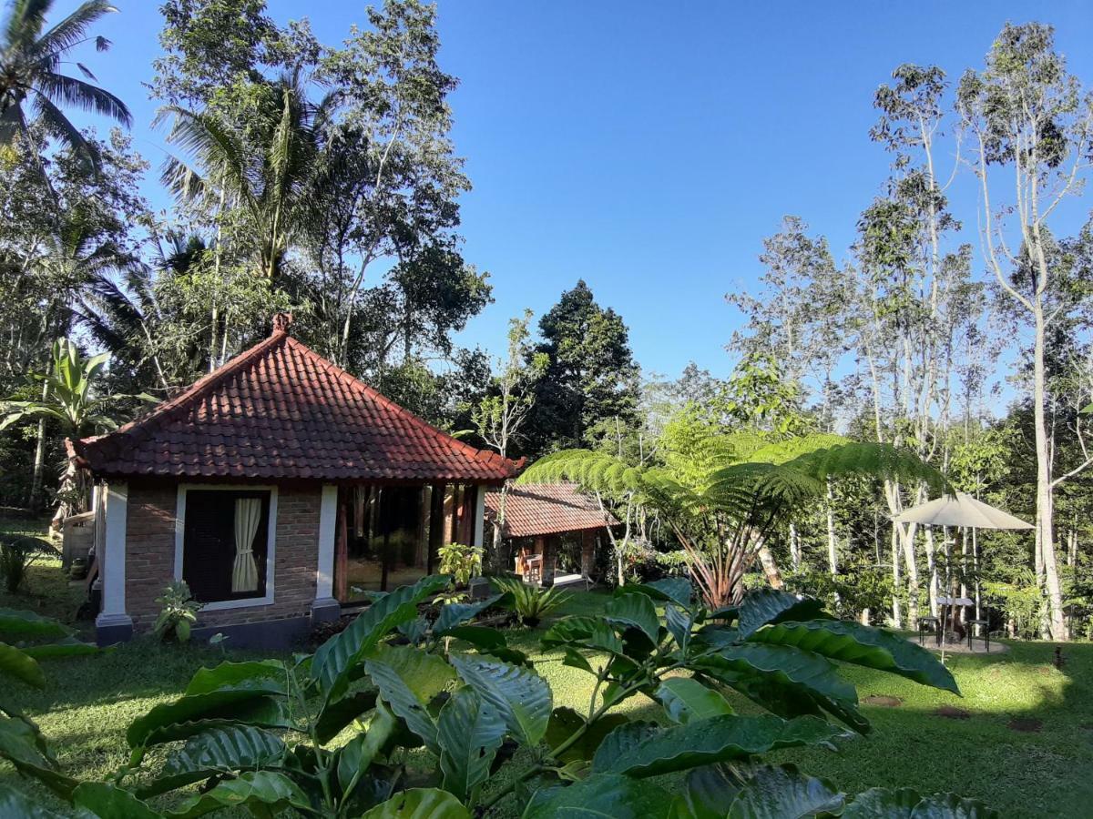 Tegal Jero Homestay Jatiluwih Ngoại thất bức ảnh