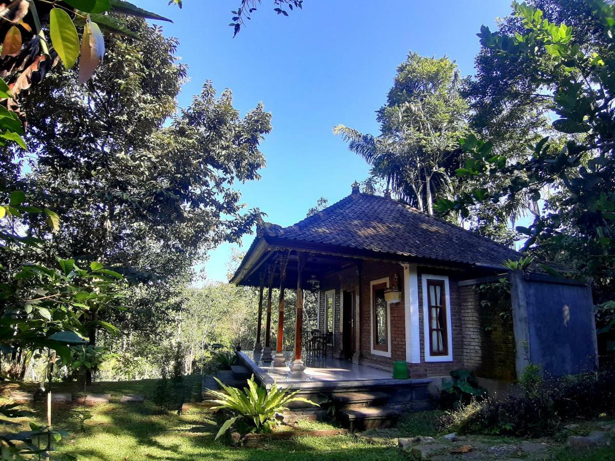 Tegal Jero Homestay Jatiluwih Ngoại thất bức ảnh