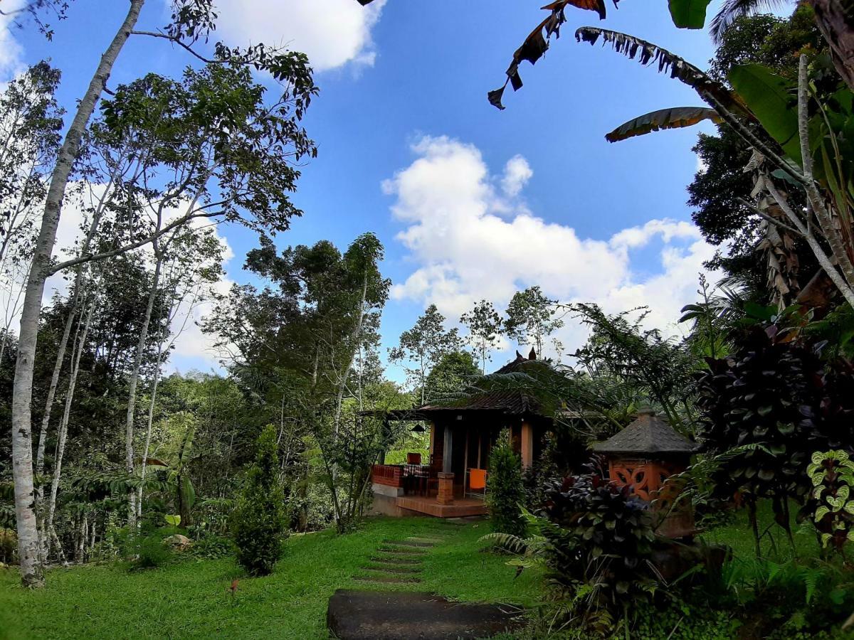 Tegal Jero Homestay Jatiluwih Ngoại thất bức ảnh