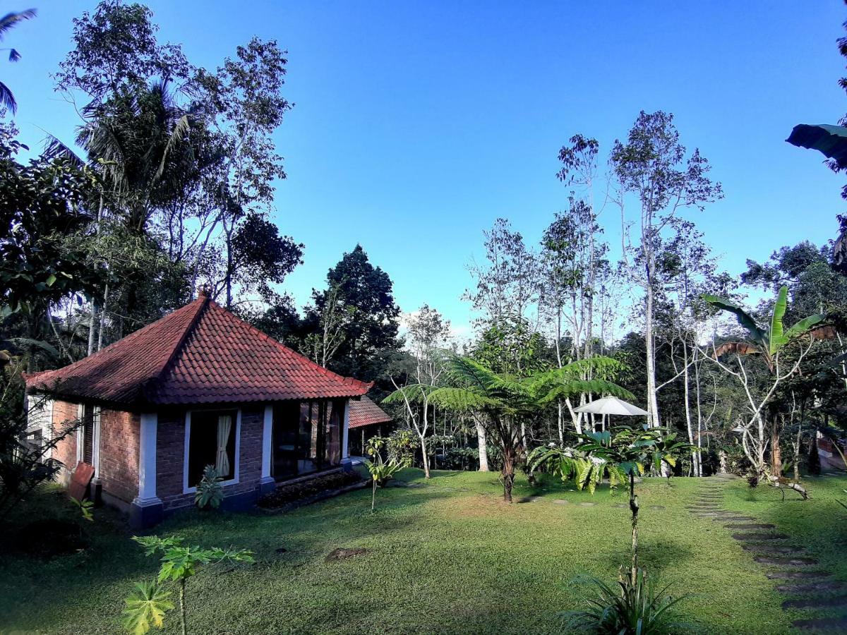 Tegal Jero Homestay Jatiluwih Ngoại thất bức ảnh